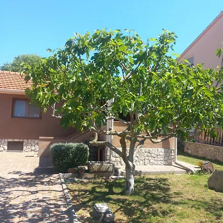 Apartmani Goga *