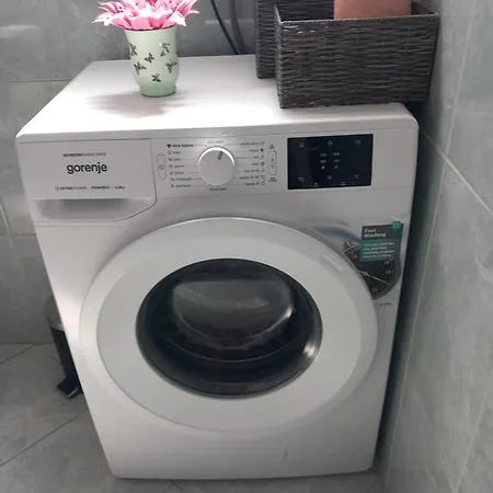 Apartament Goga *