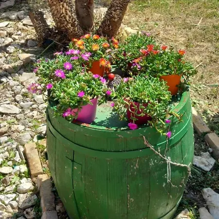Goga Apartament Biograd Na Moru