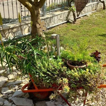 Goga * Biograd Na Moru