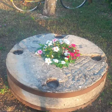 Goga Apartament Biograd Na Moru